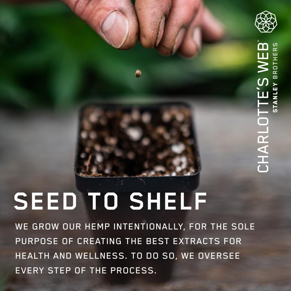 CBD OIL: 7MG CBD - Image 4